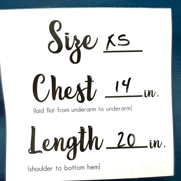 Farm Rio Nature Beauty Blouse Top Women XS Blue Floral V Neck Peplum Chiffon - Picture 6 of 6